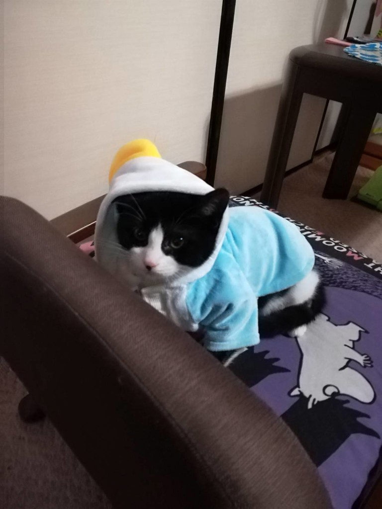 ユーザー写真