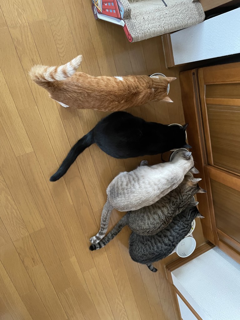 ユーザー写真