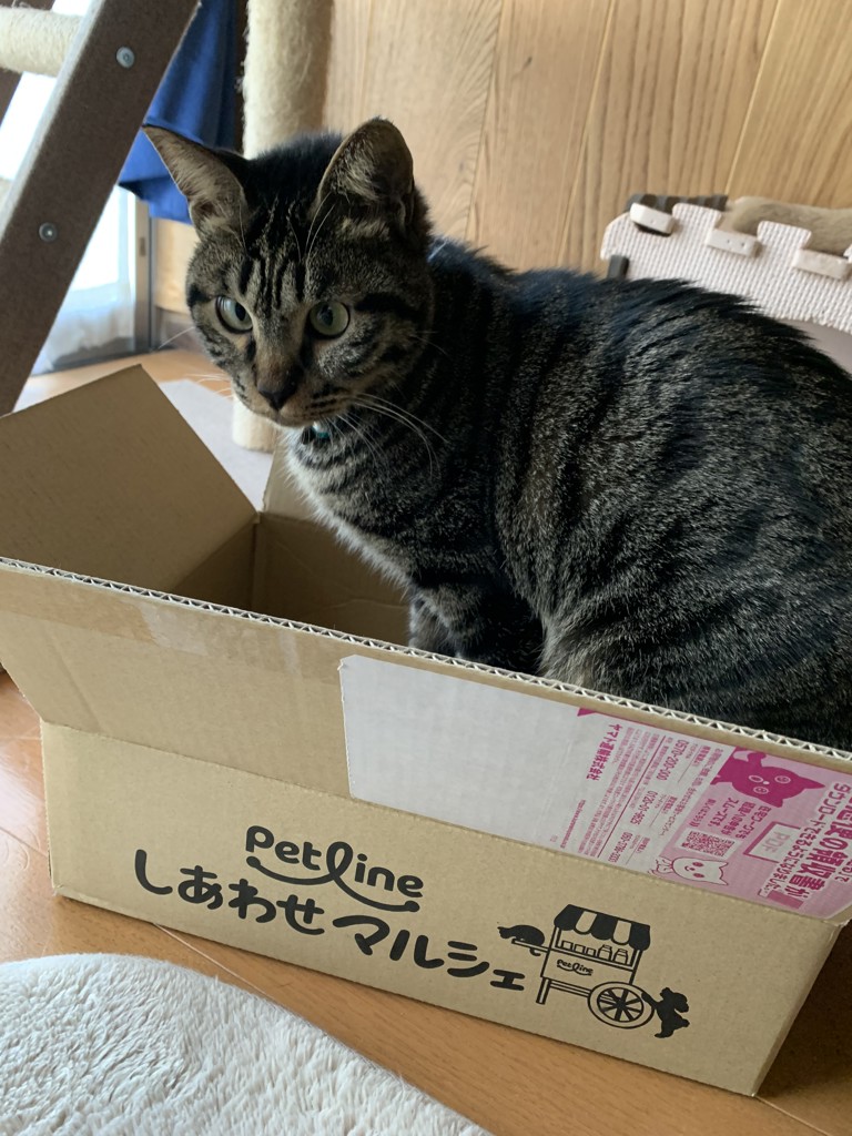 ユーザー写真