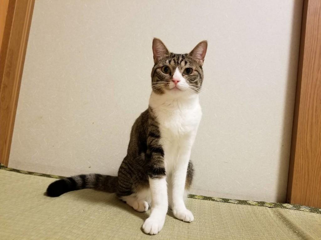 ユーザー写真