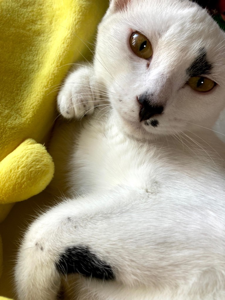 ユーザー写真