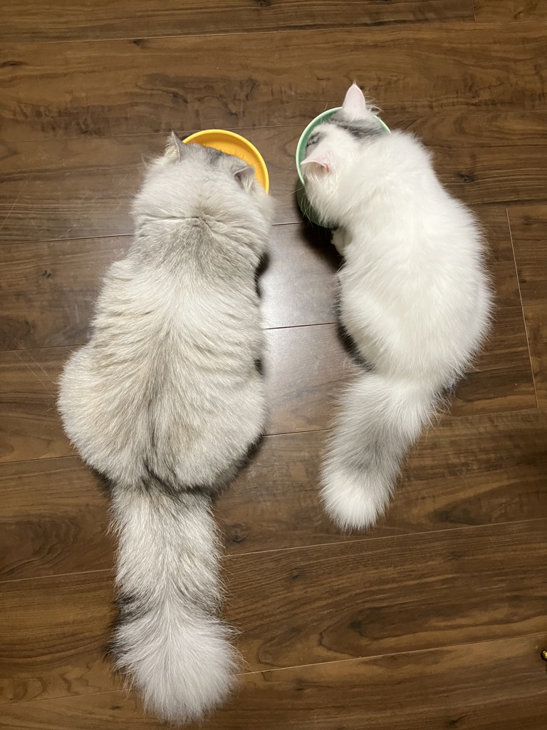 ユーザー写真