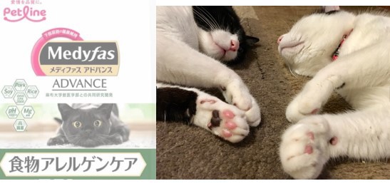 ユーザー写真