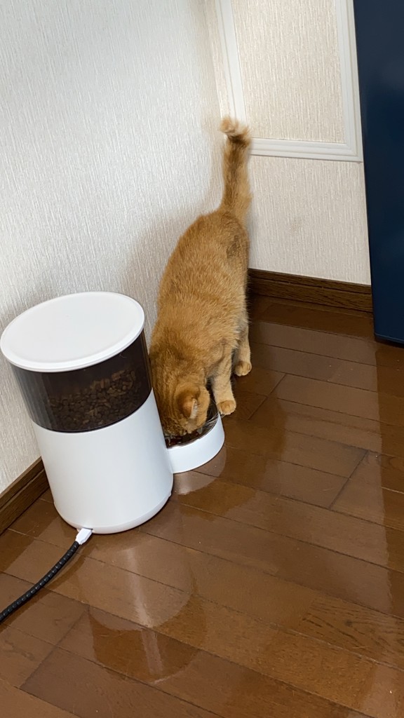 ユーザー写真