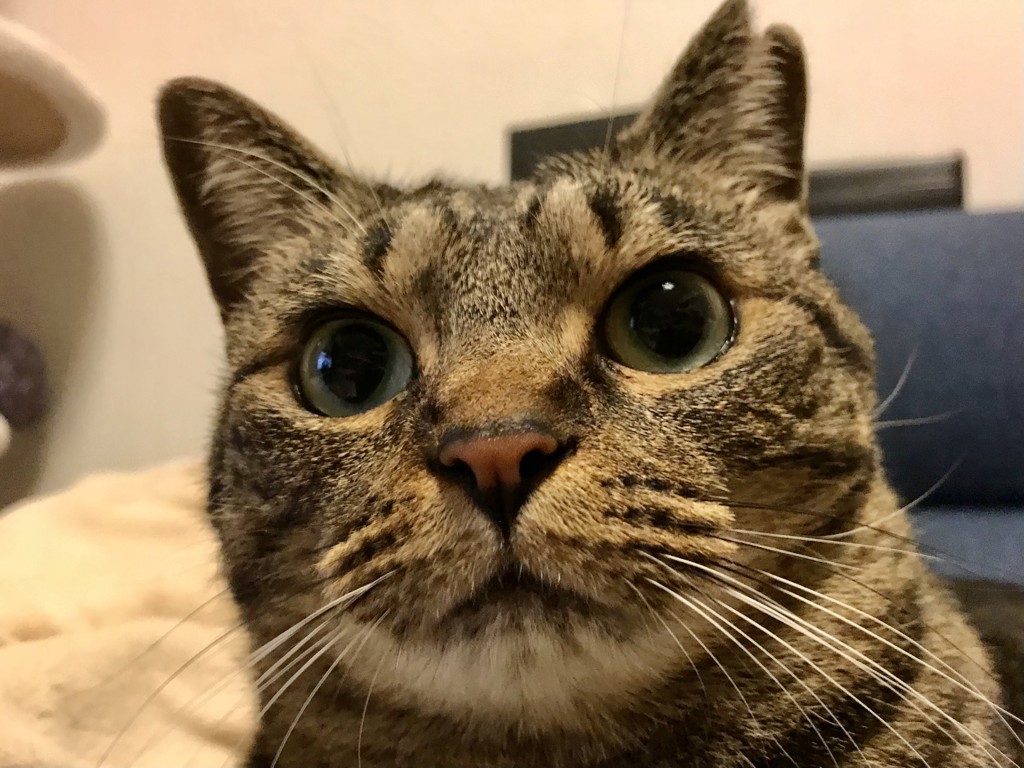 ユーザー写真