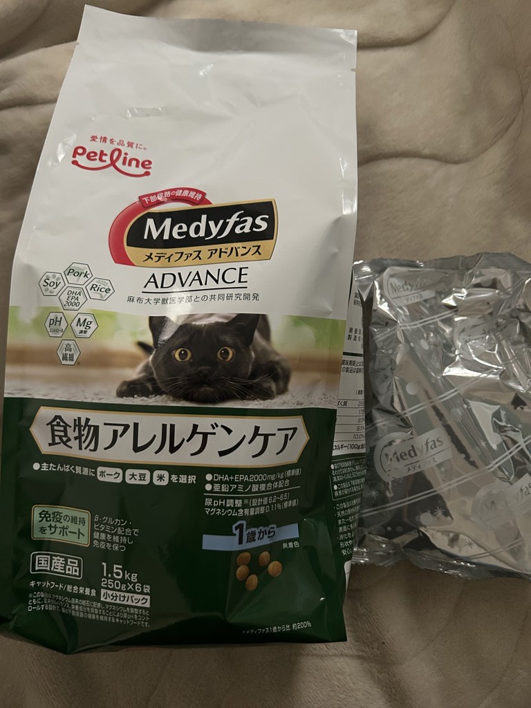 投稿写真