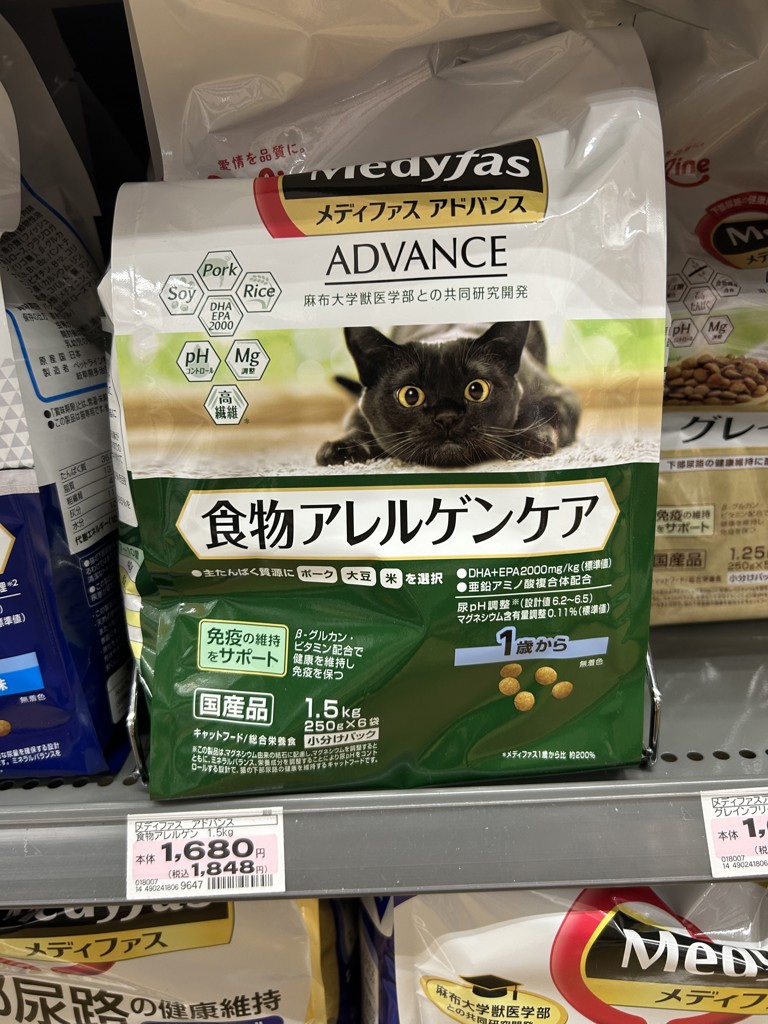 投稿写真