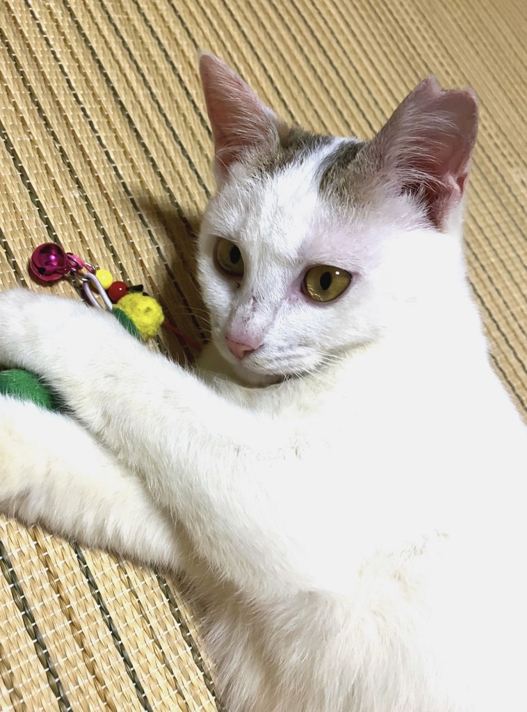 投稿写真