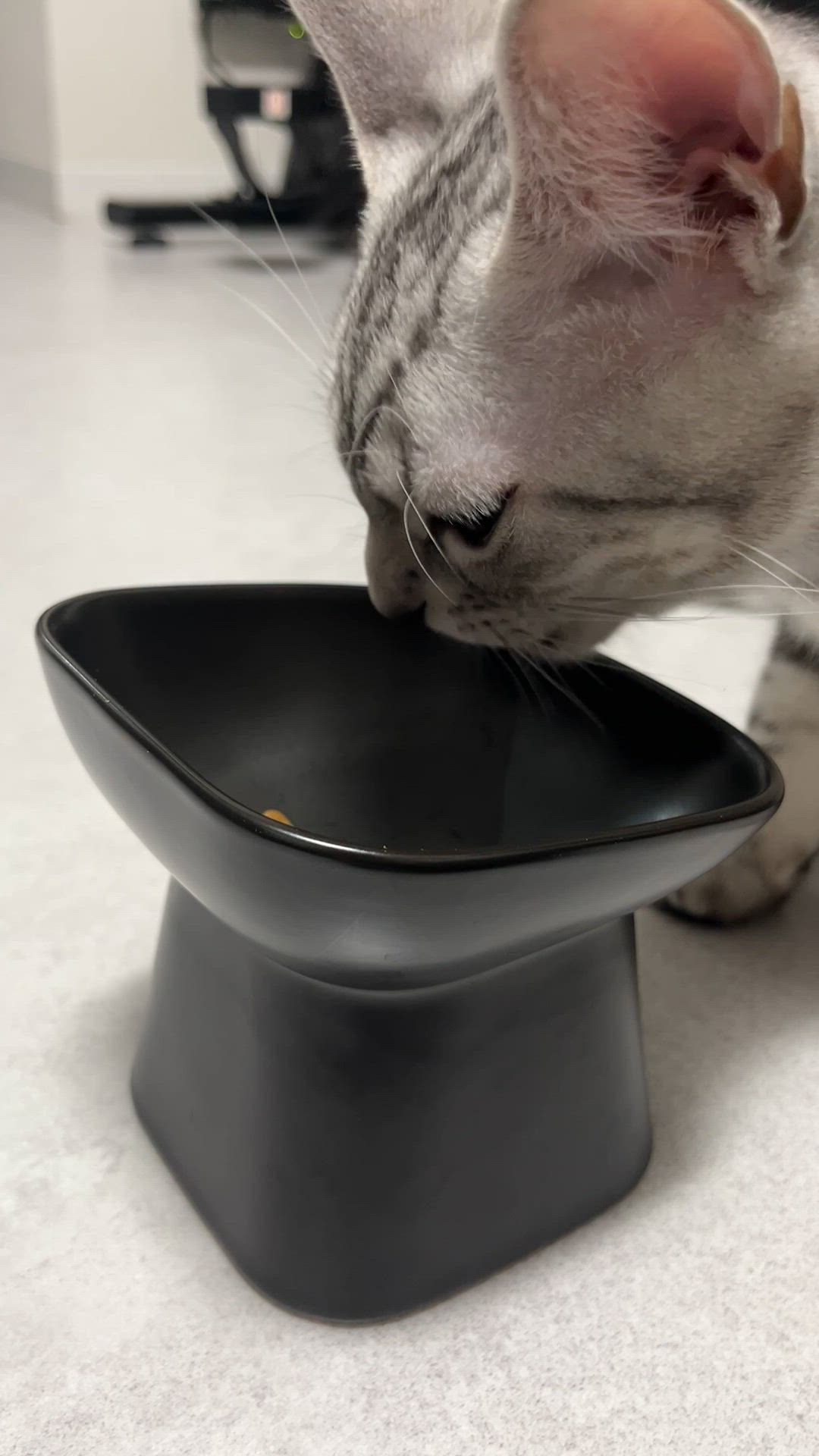 投稿写真
