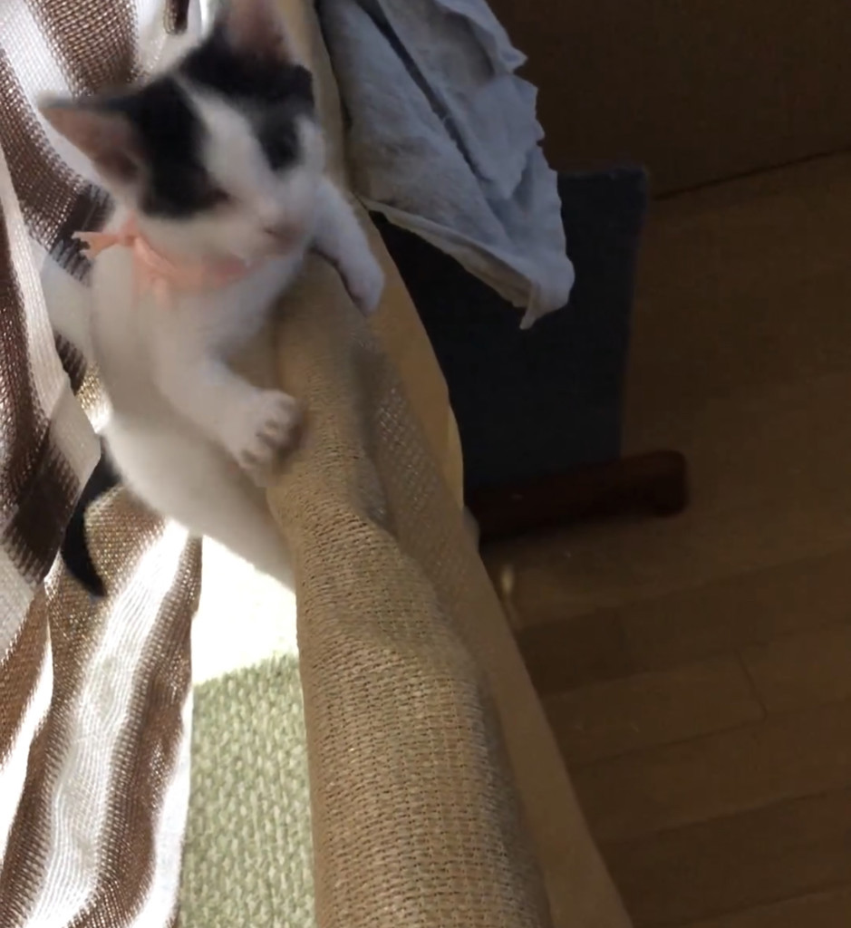 投稿写真