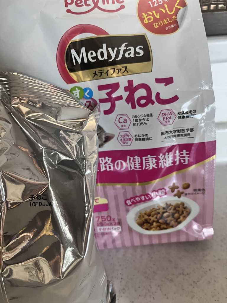 投稿写真
