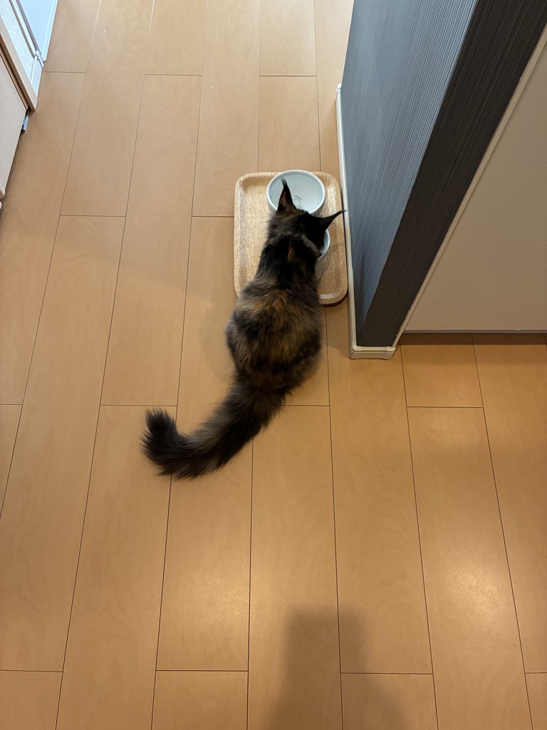 ユーザー写真