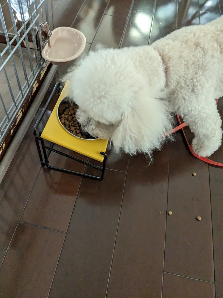 投稿写真