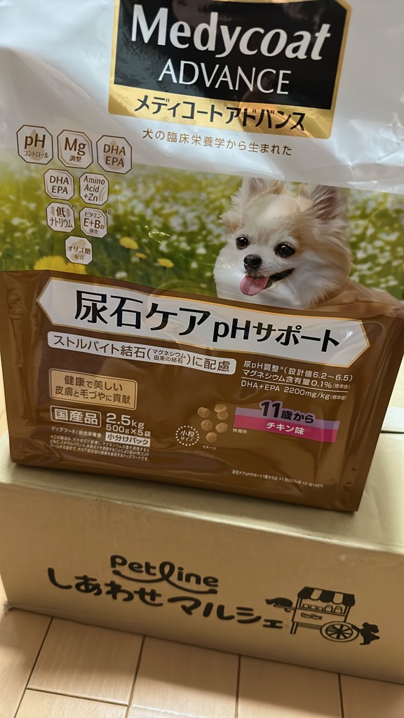 投稿写真