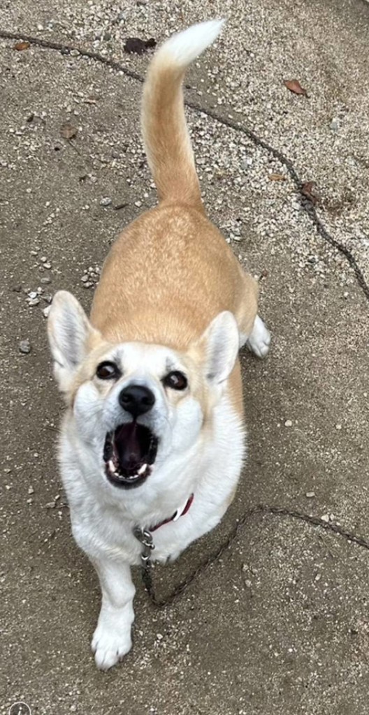 ユーザー写真
