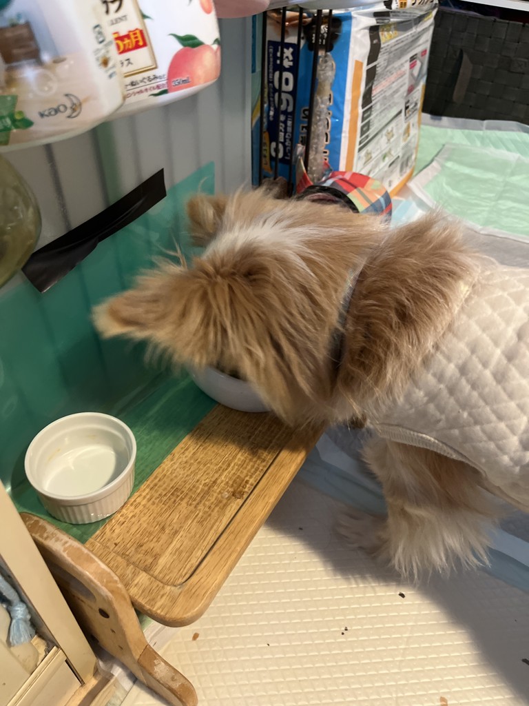 ユーザー写真