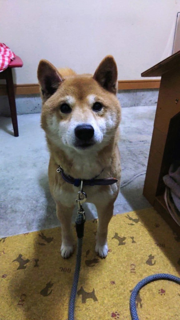 ユーザー写真