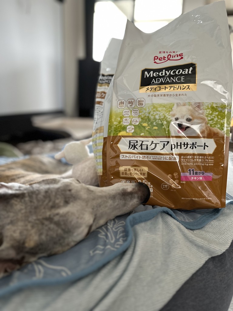 投稿写真