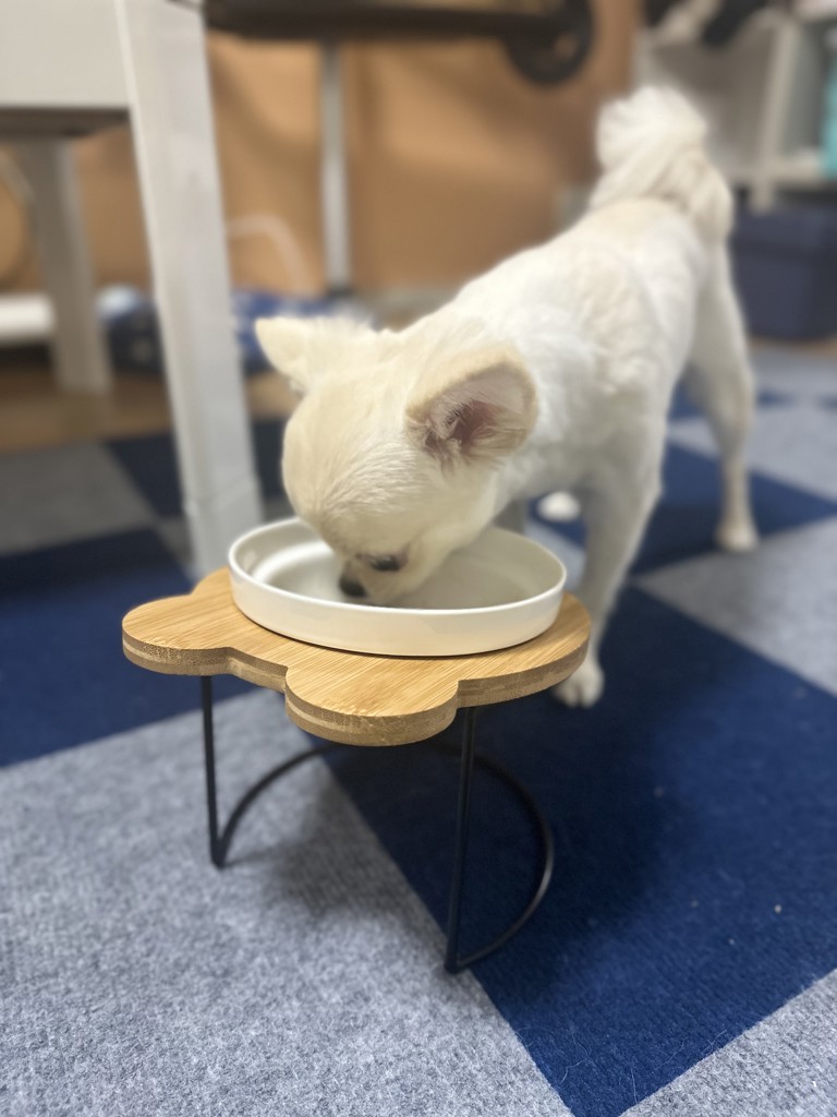 投稿写真