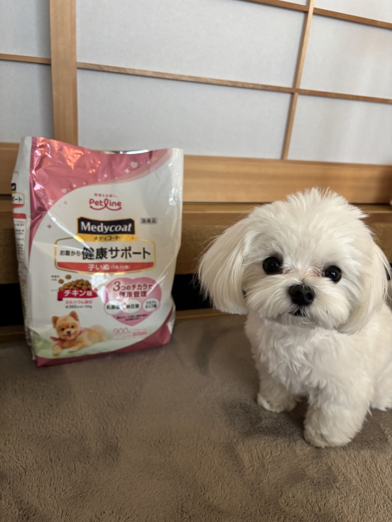 投稿写真