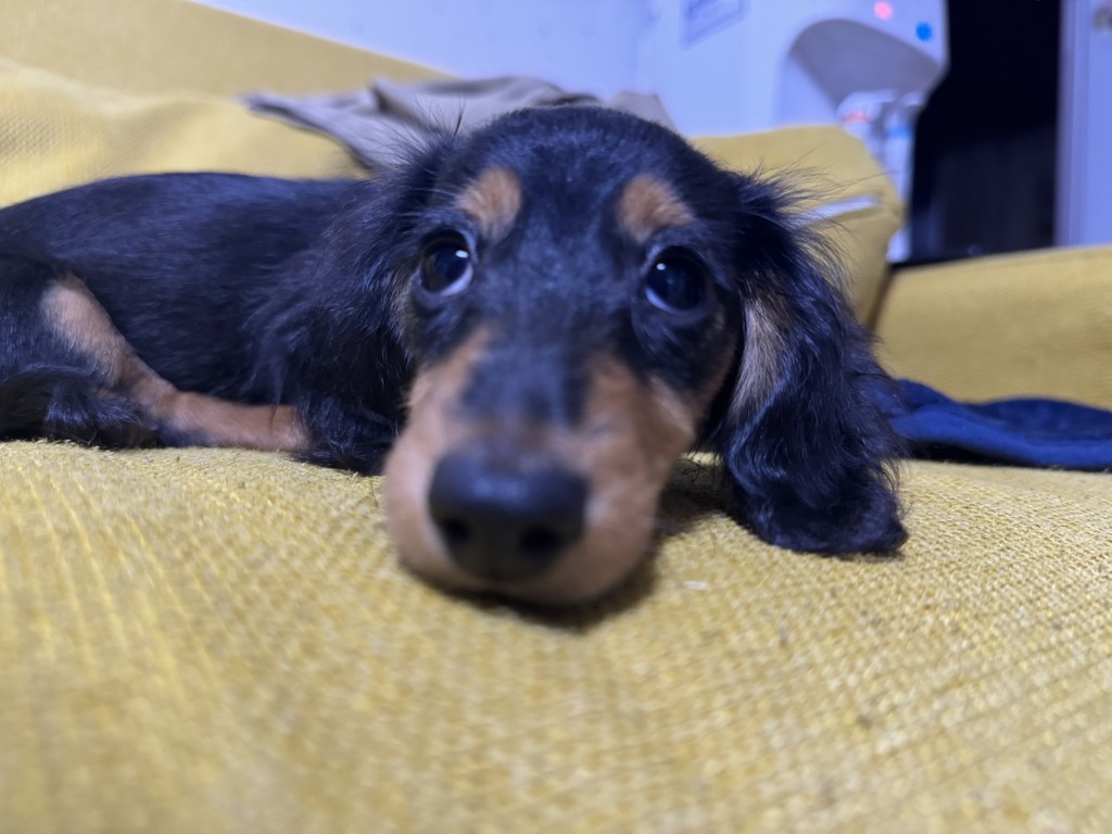 ユーザー写真