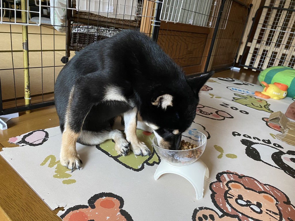 投稿写真