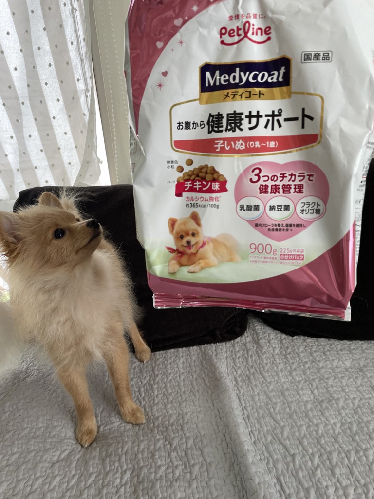 ユーザー写真