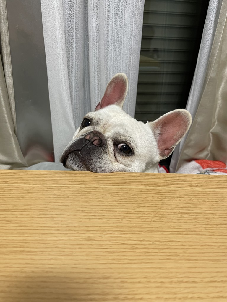 ユーザー写真