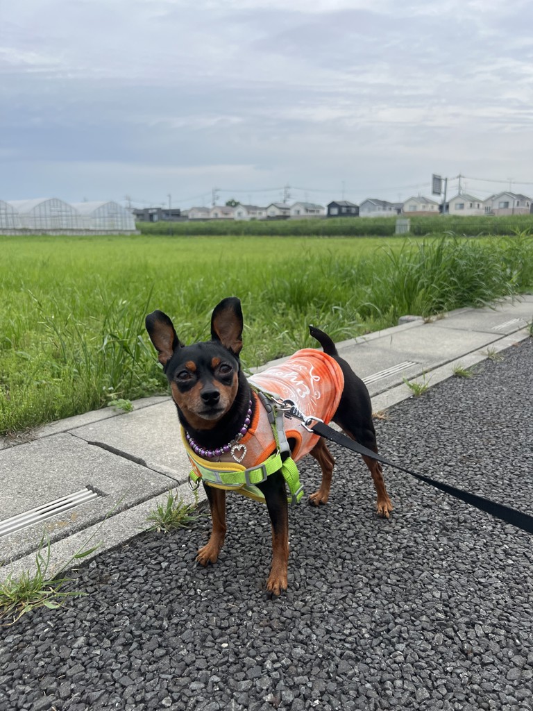 ユーザー写真