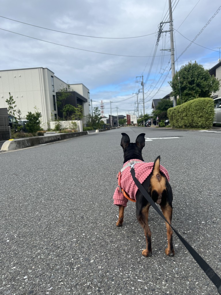 ユーザー写真