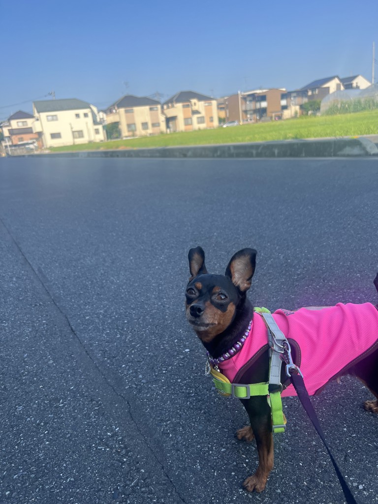 ユーザー写真