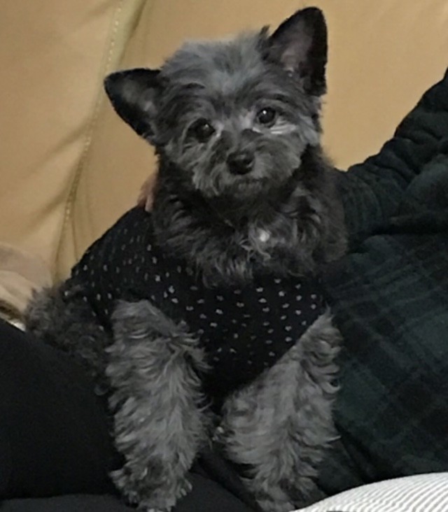 投稿写真