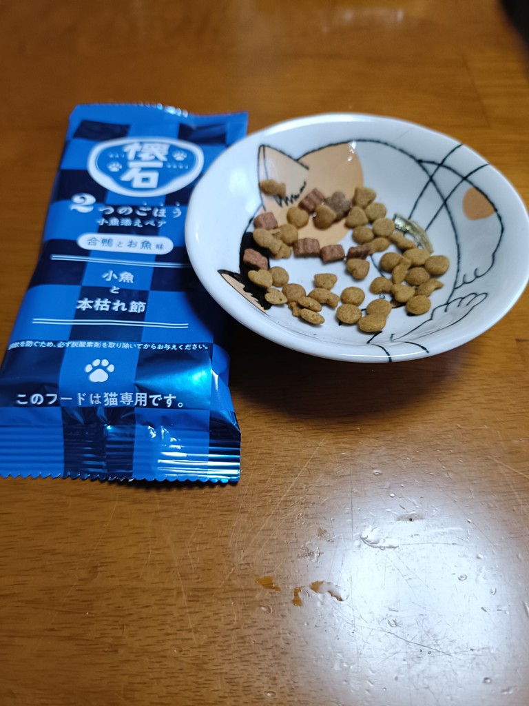 投稿写真