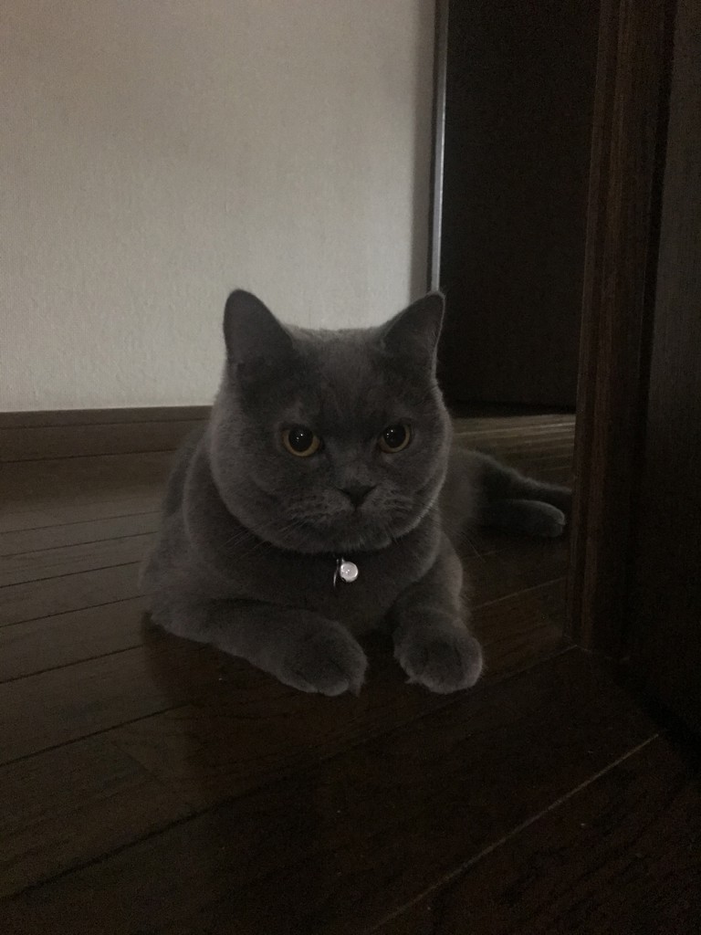 ユーザー写真