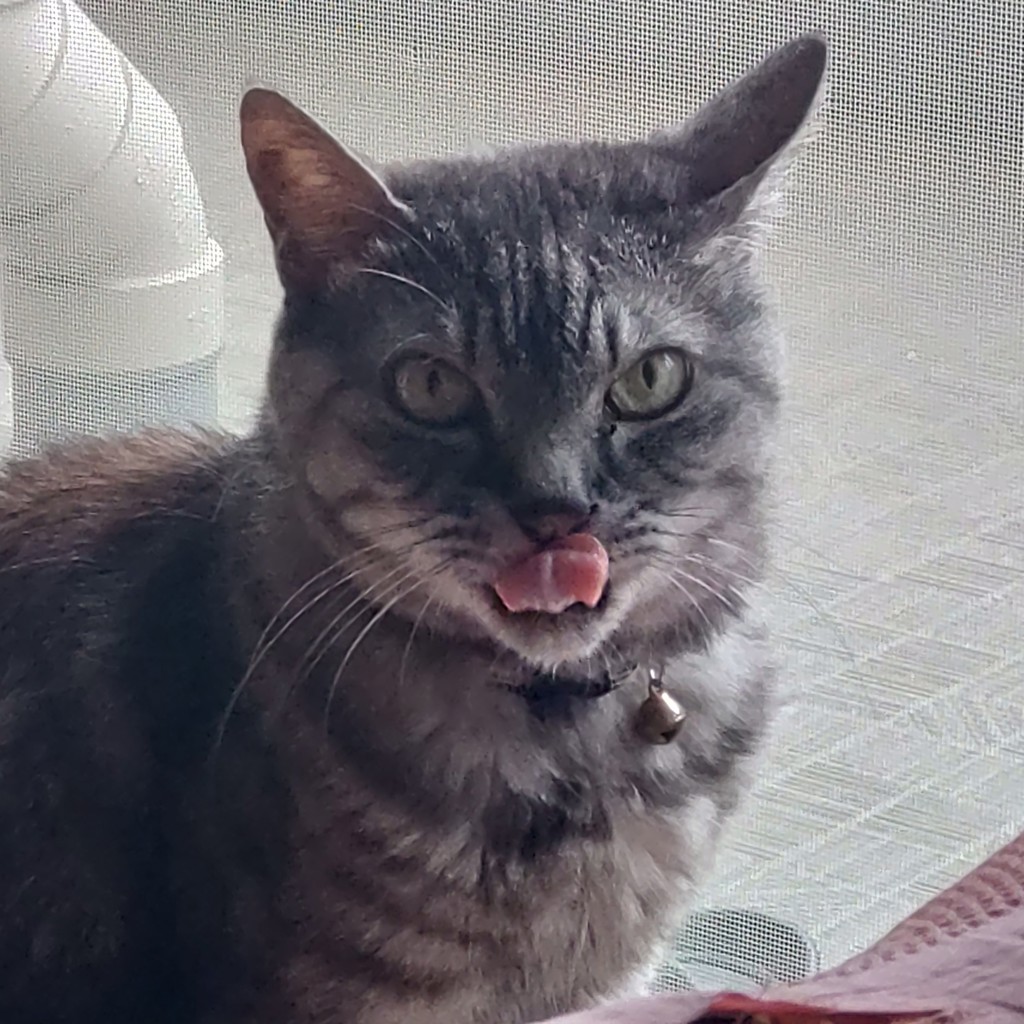 ユーザー写真