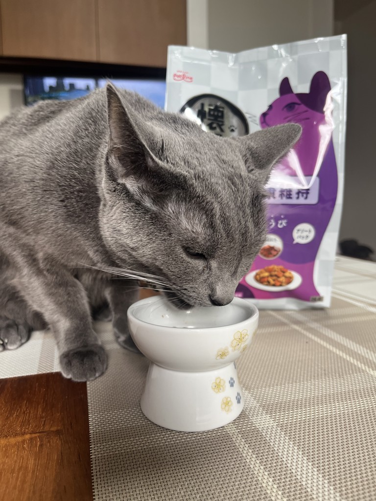 ユーザー写真