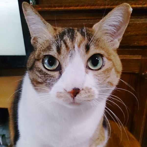 ユーザー写真
