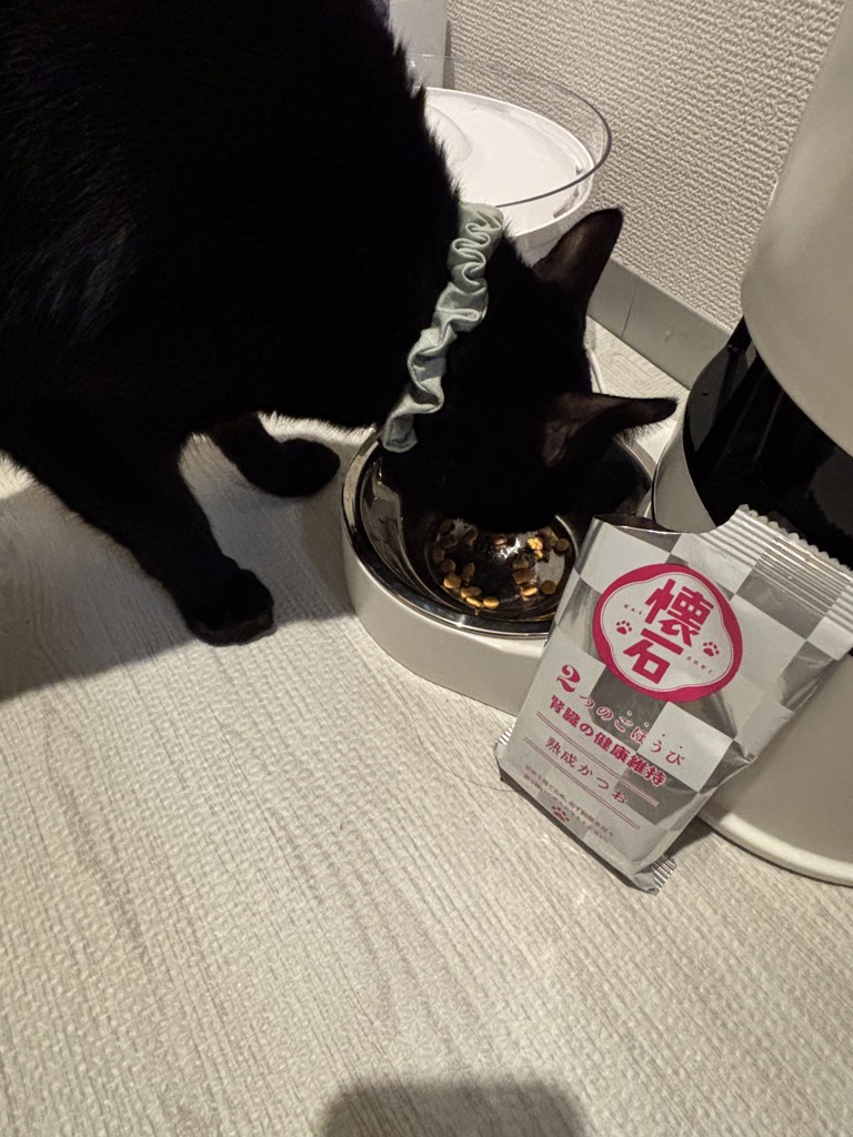 ユーザー写真