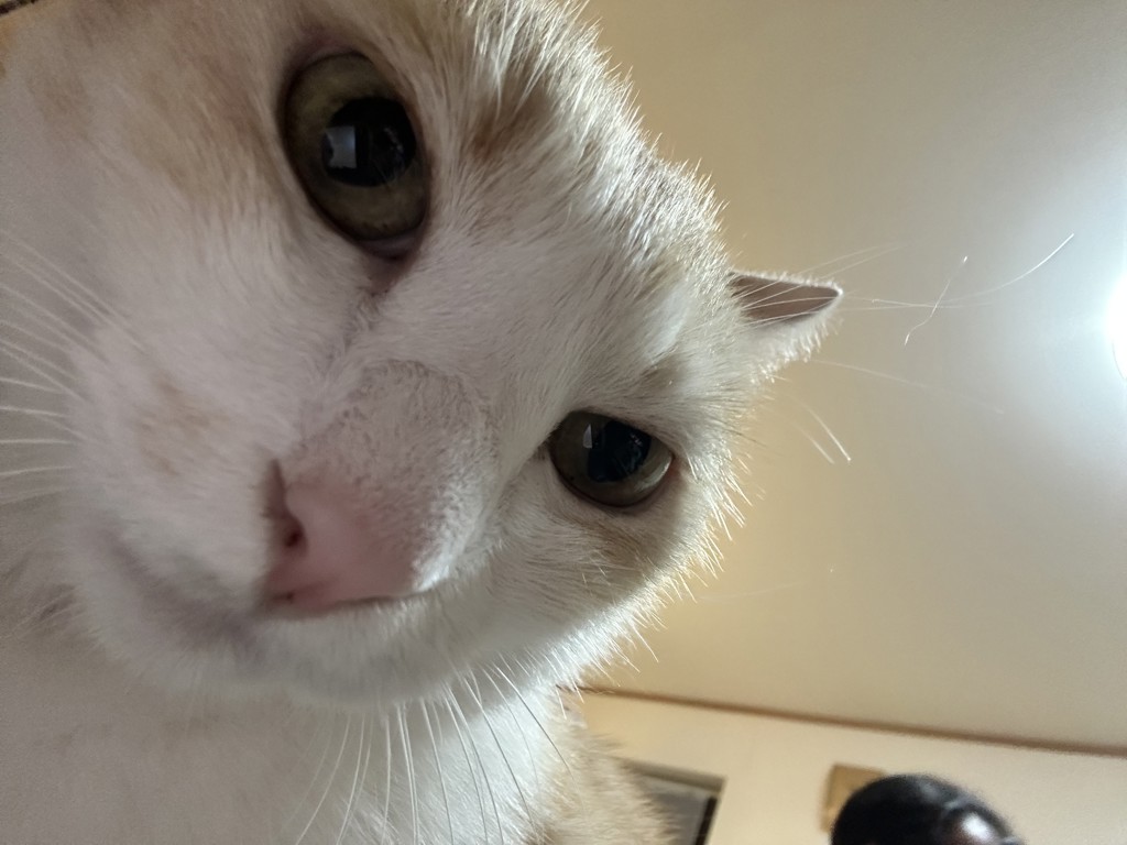ユーザー写真