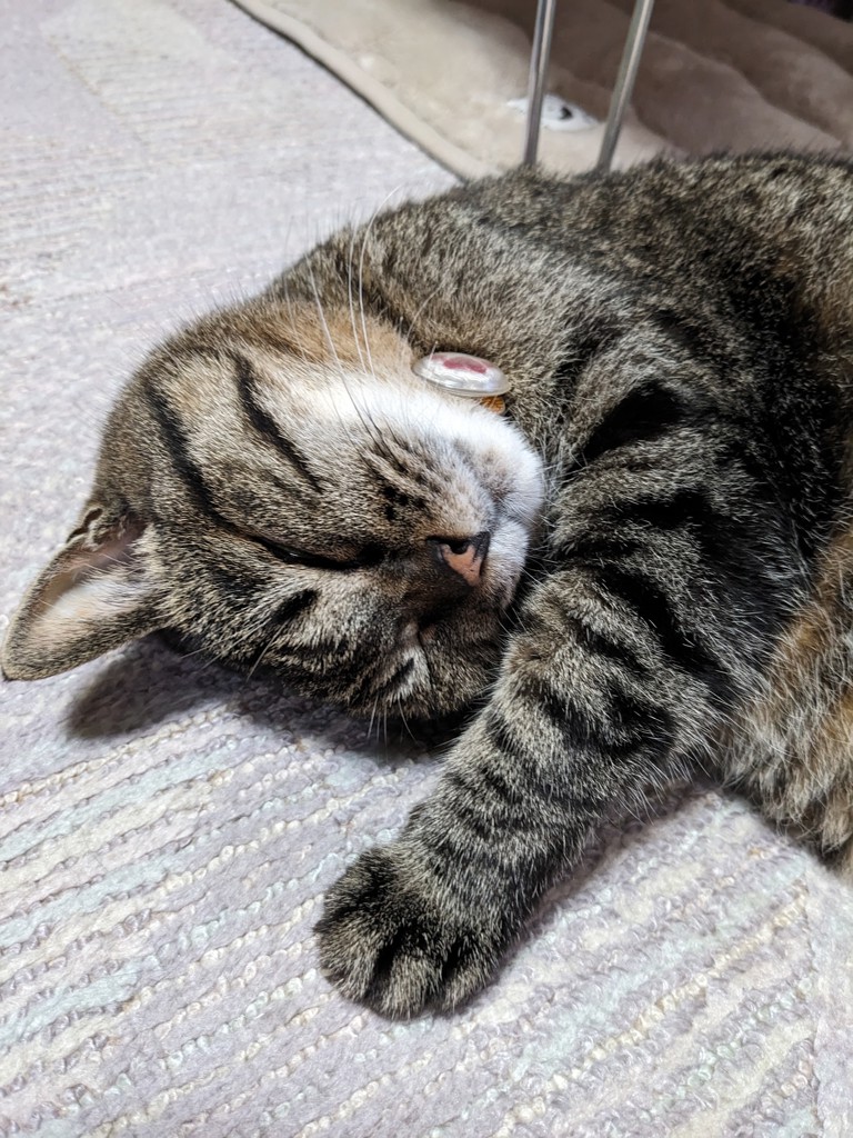 ユーザー写真