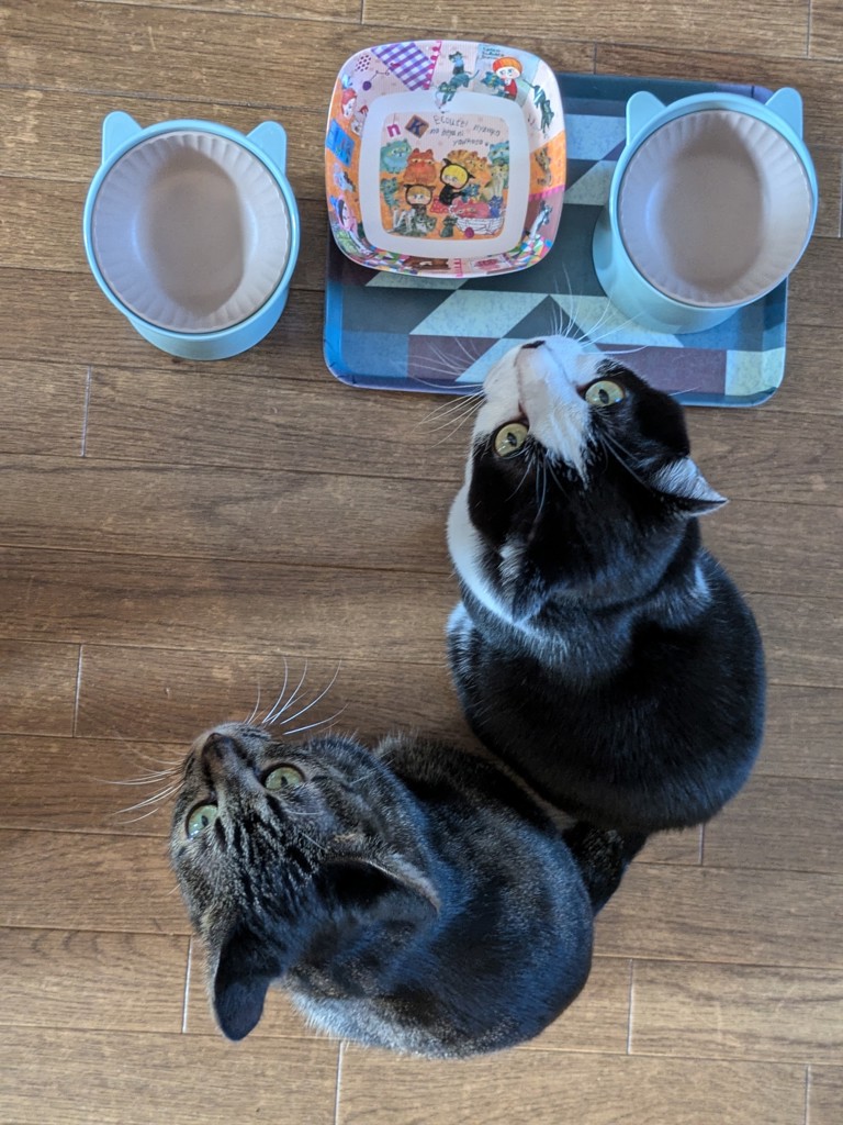 投稿写真