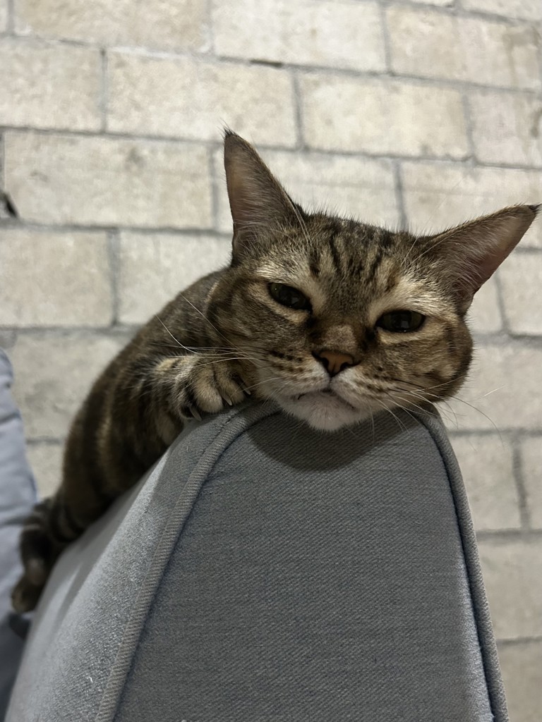 投稿写真