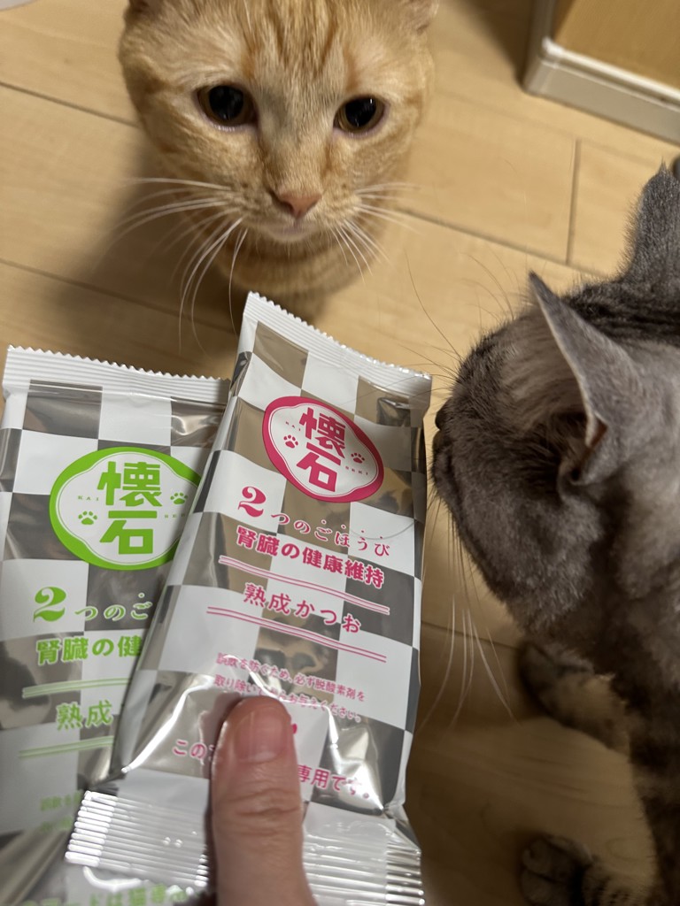 投稿写真
