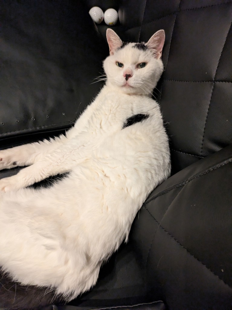 投稿写真