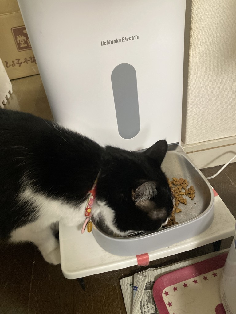 投稿写真