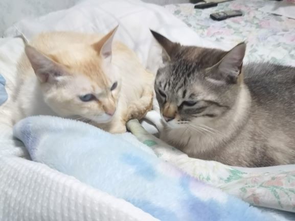 投稿写真