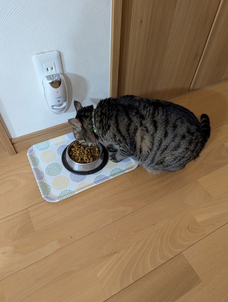 投稿写真