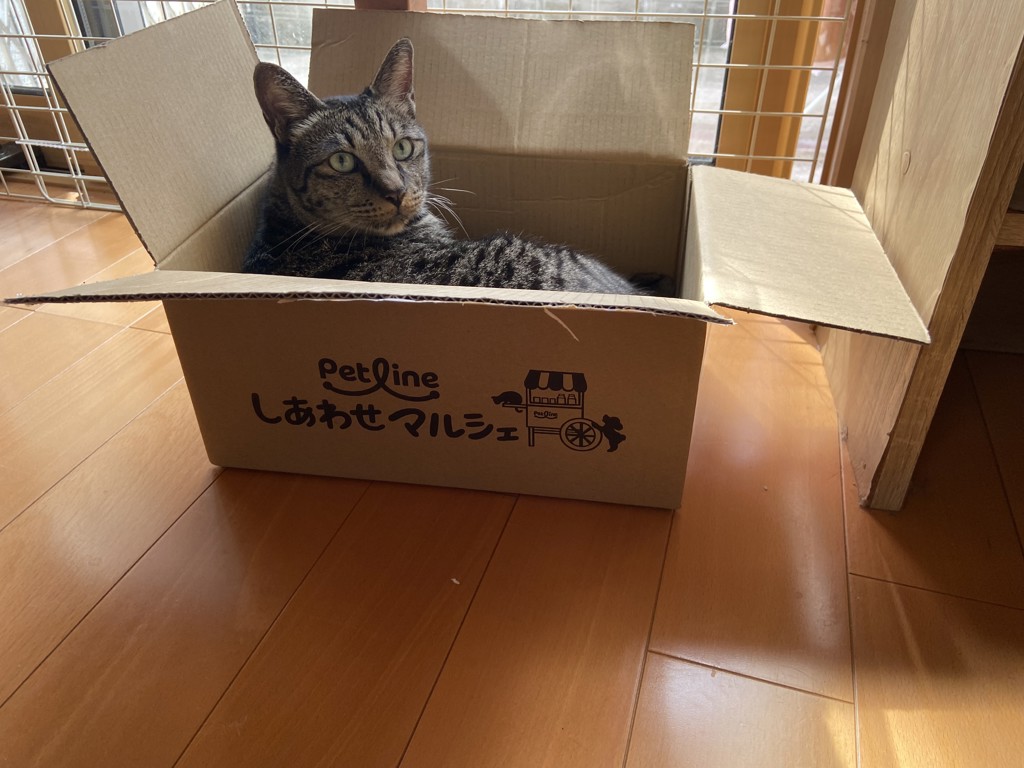 投稿写真