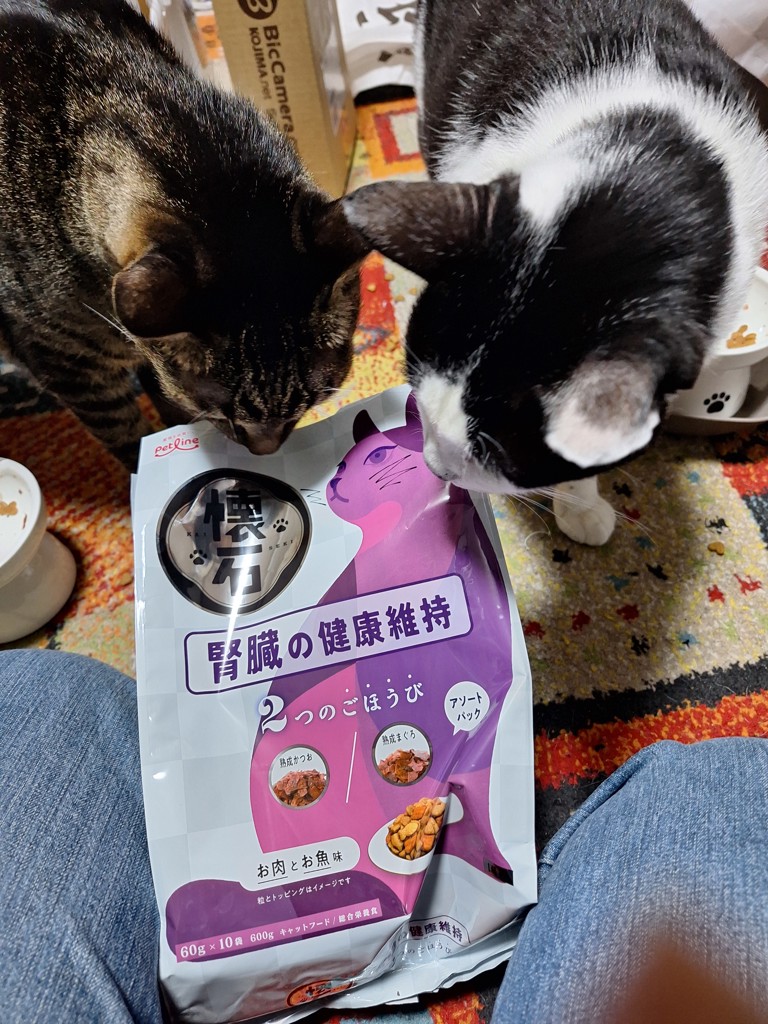 投稿写真