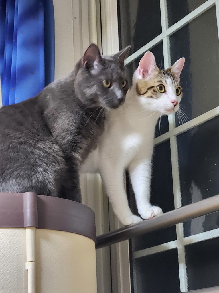 投稿写真